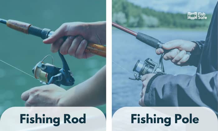 fishing rod vs fishing pole