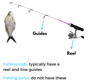 fishing-rod-vs-pole
