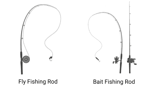 Rod-Type-of-Fly-and-bait-Fishing
