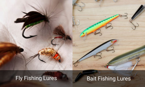 The-bait-of-Fly-and-bait-Fishing