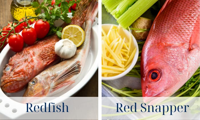 Red-Snapper-Vs-Redfish-Nutritional-Value