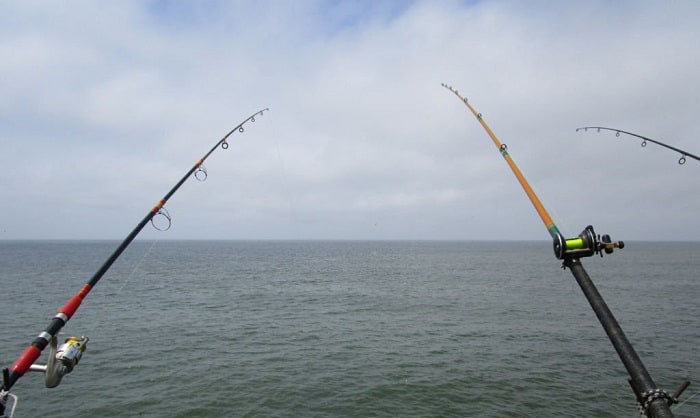 considerations-when-choosing-between-surf-and-inshore-fishing