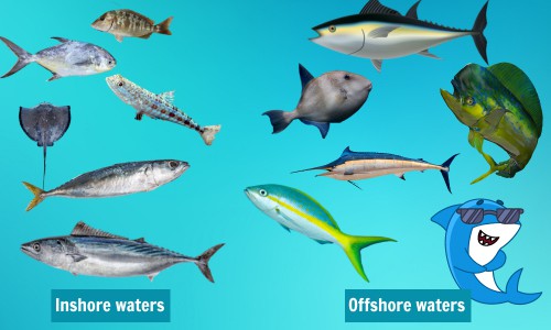 Fish-Species