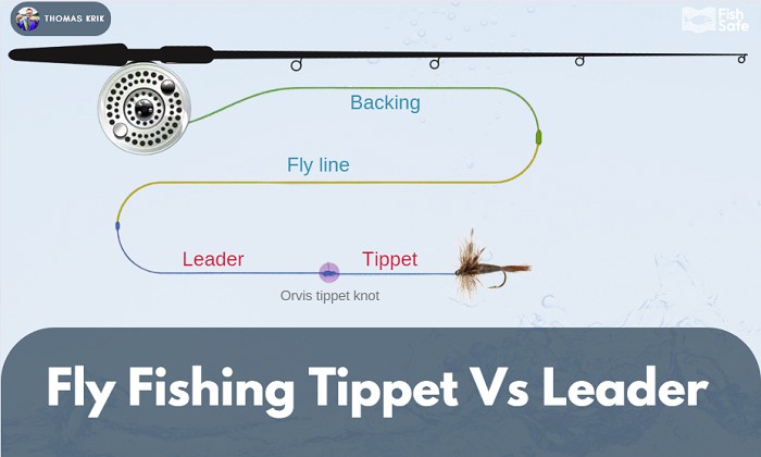 fly fishing tippet vs leader