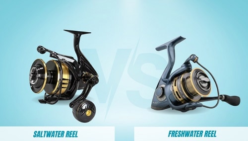 Reel-requirement-of-saltwater-vs-freshwater-fishing-rods