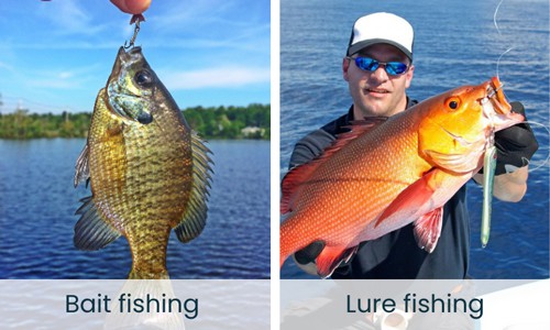 Success-rate-of-Bait-Fishing-Vs-Lure-Fishing