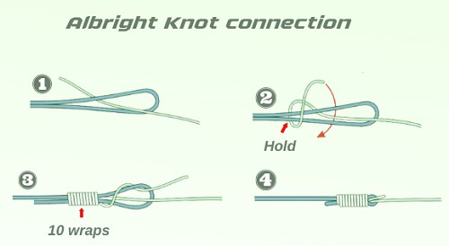 albright-knot-connection