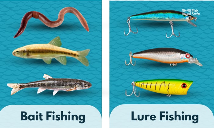 bait fishing vs lure fishing