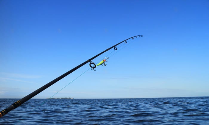 overview-of-saltwater-rods