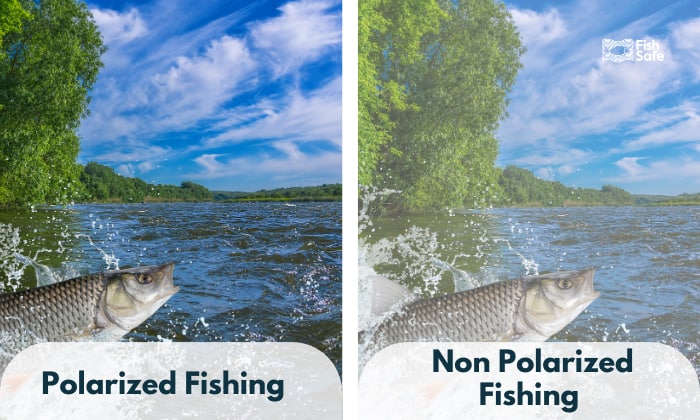 polarized vs non polarized fishing
