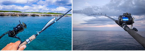 required-fishing-equipment-of-nearshore-vs-offshore-fishing