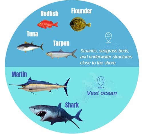 target-species-of-nearshore-vs-offshore-fishing