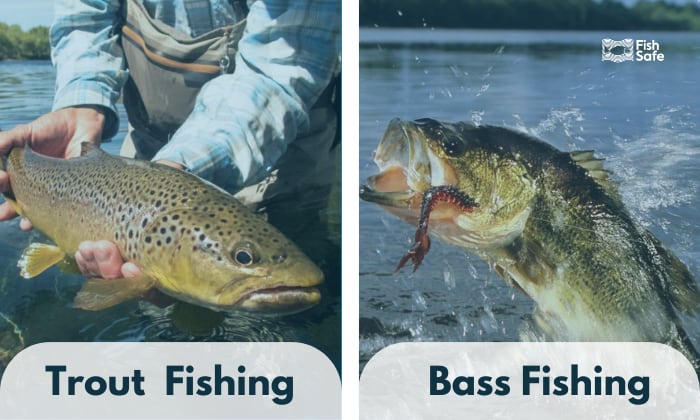 trout vs bass fishing