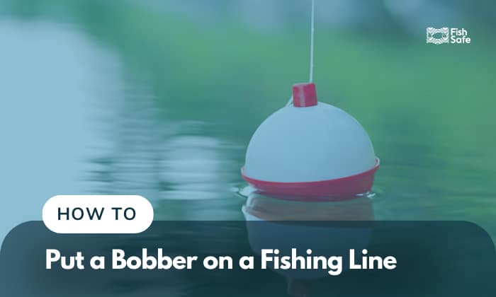 How to Put a Bobber on a Fishing Lines