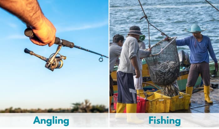 angler-vs-fisherman