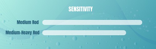 sensitivity-of-medium-vs-medium-heavy-rod