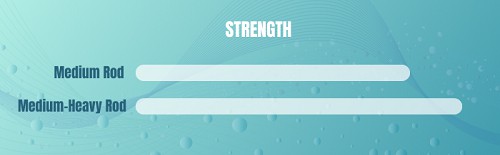 strength-of-medium-vs-medium-heavy-rod