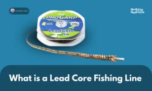 what is a lead core fishing line