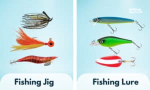 fishing jig vs lure