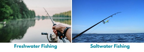 gear-and-tackle-of-fish-in-saltwater-vs-freshwater-fishing