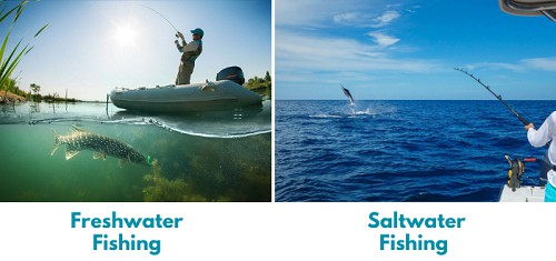 location-of-saltwater-vs-freshwater-fishing