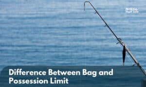 difference between bag and possession limit