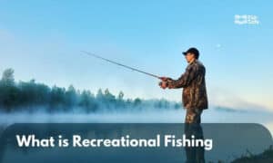 what is recreational fishing