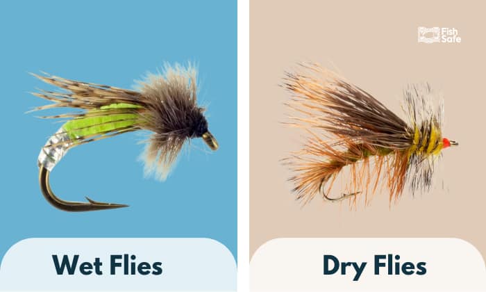Wet Flies vs Dry Flies